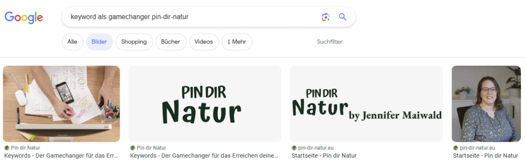 Suchergebnisse auf Google, wenn man nach Pin-dir-Natur sucht.