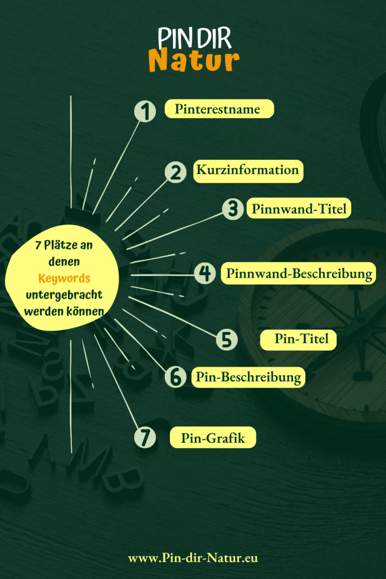 Pinterest erfolgreich nutzen - Übersicht an welchen Stellen man Keywords einsetzen kann in Form einer halben Sonne und deren Strahlen